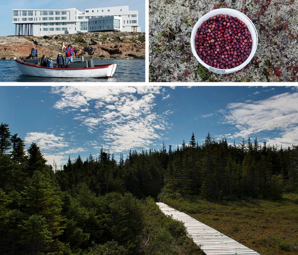 The image is a collage of three photographs, each showcasing a different aspect of the natural world. **Top Left:** * A white boat with red trim is seen on the water. * The boat is occupied by several people, all dressed in blue or black jackets and pants. * In the background, a large white building stands out against the rocky shore. * The sky above appears to be overcast. **Top Right:** * A circular container filled with small red berries sits atop a bed of white flowers. * The container has a white rim and is placed on a flat surface. * The surrounding area is covered in a thick layer of snow, adding to the wintry ambiance. **Bottom:** * A forested area stretches out before us, with evergreen trees standing tall under a partly cloudy sky. * A wooden boardwalk or walkway winds its way through the trees, leading the viewer's eye deeper into the forest. * The overall atmosphere is one of serenity and tranquility, inviting the viewer to step into this peaceful environment. Overall, the image presents a diverse range of natural settings, from the rugged coastline to the serene forest.
