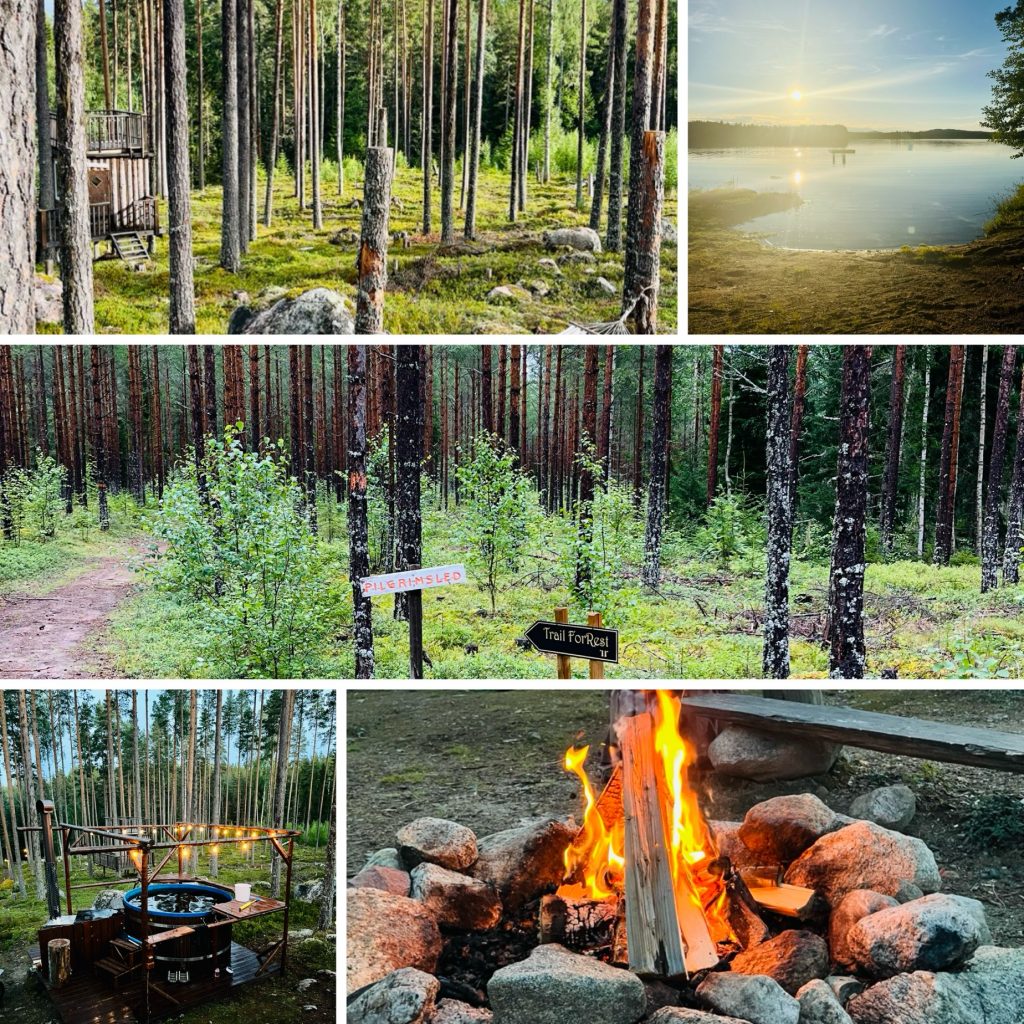 This image presents a serene forest setting, showcasing various natural elements and outdoor activities. In the top-left corner, a wooden platform with a railing is nestled among tall trees, while in the top-right, a tranquil body of water reflects the vibrant colors of the sky at sunrise or sunset. The bottom half of the image features a clearing with three wooden signs bearing Finnish text, likely directing visitors to different trails. The scene also includes a campfire surrounded by rocks and an outdoor cooking area with a blue pot suspended over a flame. A dirt path winds through the trees, adding to the sense of exploration and adventure that pervades this idyllic forest landscape.