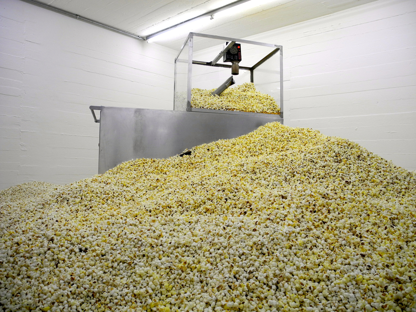 The image depicts a large pile of popcorn kernels, with a machine in the background that appears to be processing them. * A large pile of popcorn kernels: + The kernels are light yellow and white. + They cover most of the floor. + Some kernels have fallen onto the wall behind the pile. * A machine in the background: + It has a clear plastic or glass box on top with a black tube coming out of it. + There is a small red light visible inside the box. + The machine is attached to the wall and appears to be mounted on wheels. * A white wall behind the pile: + The wall is plain and featureless. + It provides a clean backdrop for the popcorn kernels and machine. The image suggests that the machine is used for processing or packaging popcorn kernels, possibly in an industrial setting.