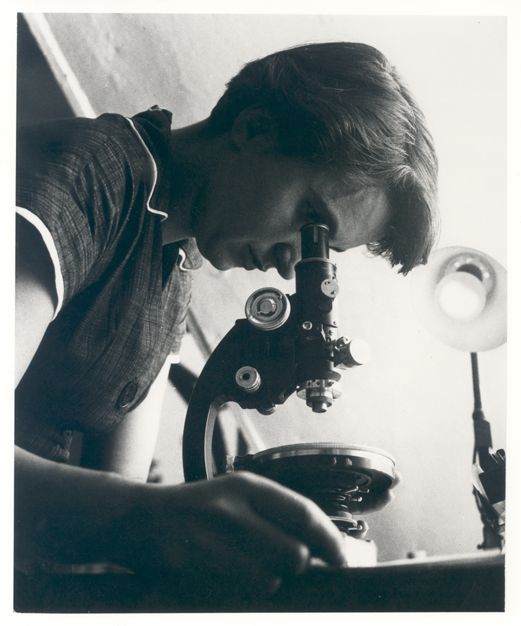 A black and white photo of a woman intently observing a microscope, with a focused expression, as she engages in scientific work at a well-lit desk.