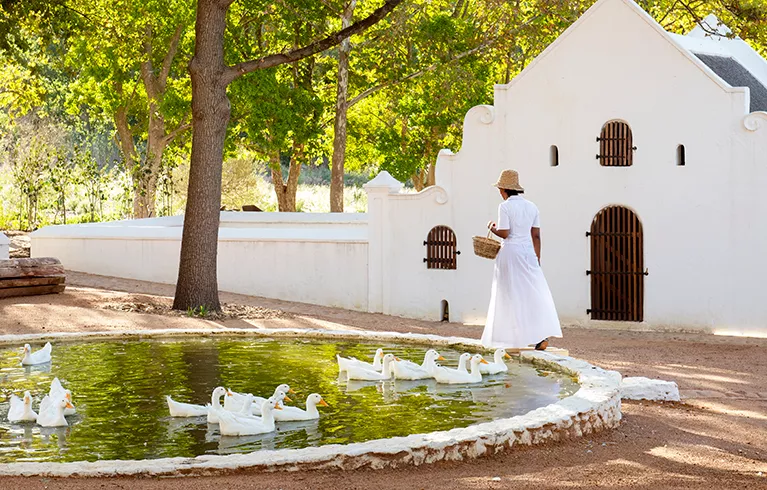 Based in the scenic Cape Winelands, Babylonstoren is home to a renowned, garden, hotel, wine shop, farm store, restaurants...