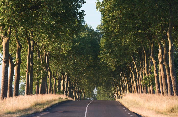 Route Nationale 7 - Straße der Sehnsucht - Traumstraße in den Süden