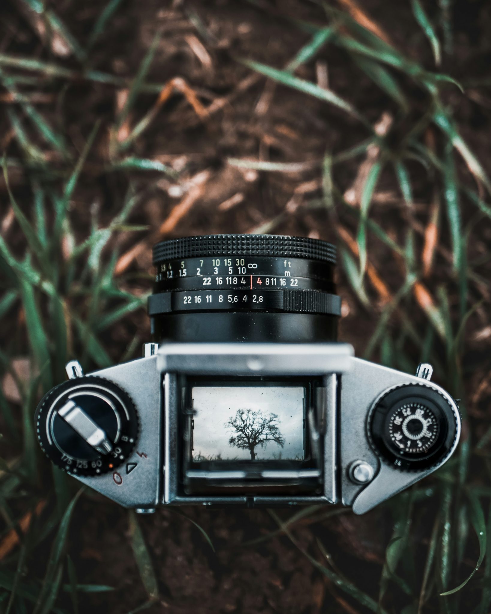Alt tag: An overhead view of a vintage camera resting on grass, with the image of a tree reflected in the camera's viewfinder.